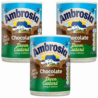 Ambrosia Chocolate Flavour Devon Custard 400g can x 3, Instant Ready to Eat Hot or Cold Dairy Dessert with Welari Thank You Card | (3pack)