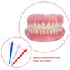 Beaupretty Adult Denture Toothbrush Set 3Pcs Dual-Head Brushes Medium Bristles Small Pointed Heads Lightweight T-Shaped Handle for Dentures and Retainers view 3