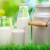 Fresh Whole Milk 3.5% Fat UHT Milk 2000 Mililiter x 6 Boxes view 4