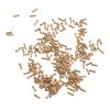 200Pcs 2.0x1.4mm Small Flat Head Glasses Repair Screws, Stainless Steel Eyeglass Screws with Professional Design, Convenient Fit for Quick Assembly and Stability Maintenance