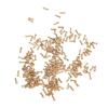 200Pcs 2.0x1.4mm Small Flat Head Glasses Repair Screws, Stainless Steel Eyeglass Screws with Professional Design, Convenient Fit for Quick Assembly and Stability Maintenance view 2