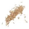 200Pcs 2.0x1.4mm Small Flat Head Glasses Repair Screws, Stainless Steel Eyeglass Screws with Professional Design, Convenient Fit for Quick Assembly and Stability Maintenance view 4