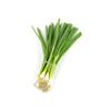 Fresh Flavorful Spring Onion Each Bunch I 140G I Pack of 2 view 1