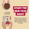 Surreal Choc Hazelnut - High Protein Cereal - Zero Sugar- Healthy Plant Based Cereal - High in Fibre - Low Carb - Gluten Free - Vegan - 18g of Protein, 0g of Sugar - 240g per Box - 4 Pack view 3