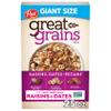 Post Great Grains Raisins Dates and Pecans Breakfast Cereal, Raisin Cereal with Sweet Dates and Granola Clusters, Non-GMO Project Verified, 25 OZ Box view 1