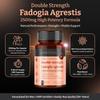 Double Strength Premium Fadogia Agrestis - 2500mg x 360 Capsules (2 Bottles of 180) - 12 Months Supply view 3