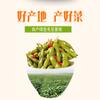 Pickled pepper radish,Enoki mushroom,dried radish,Sour beans,Healthy vegetarian vegetables,Pickles,Instant Meals,Delicious snack gifts (green soybeans,10 packs) view 3