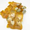 Large Size Thick American Dried whelk Conch Slices with Shell Conch Cracker Slices Free worldwide airmail (2 pounds (around 18 pieces)) view 2
