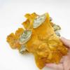 Large Size Thick American Dried whelk Conch Slices with Shell Conch Cracker Slices Free worldwide airmail (2 pounds (around 18 pieces)) view 3