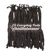 25 Everyday Madagascan Vanilla Pods | Grade A Vanilla Beans in Airtight Tin | Gourmet Sticks for Baking, 11-14cm long | 5 x 5 Vaccum Packs Inside | Vanillabazaar view 1