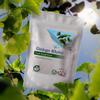 Ginkgo Biloba 6000mg Tablets | Brain, Blood, Memory and Cognitive Function Support | Vegan (Pack of 60) view 3