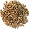 Crazee Deal Coriander Cilantro Seeds Whole, Suitable for Vegetarians & Vegans, For Curries, Sauces, Soups, Baked Goods (50g (Pack of 1)) view 1