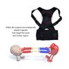 ZHCHAO Adjustable Magnetic Posture Back Support Corrector Belt Band Brace Shoulder Lumbar Strap(Small) view 4