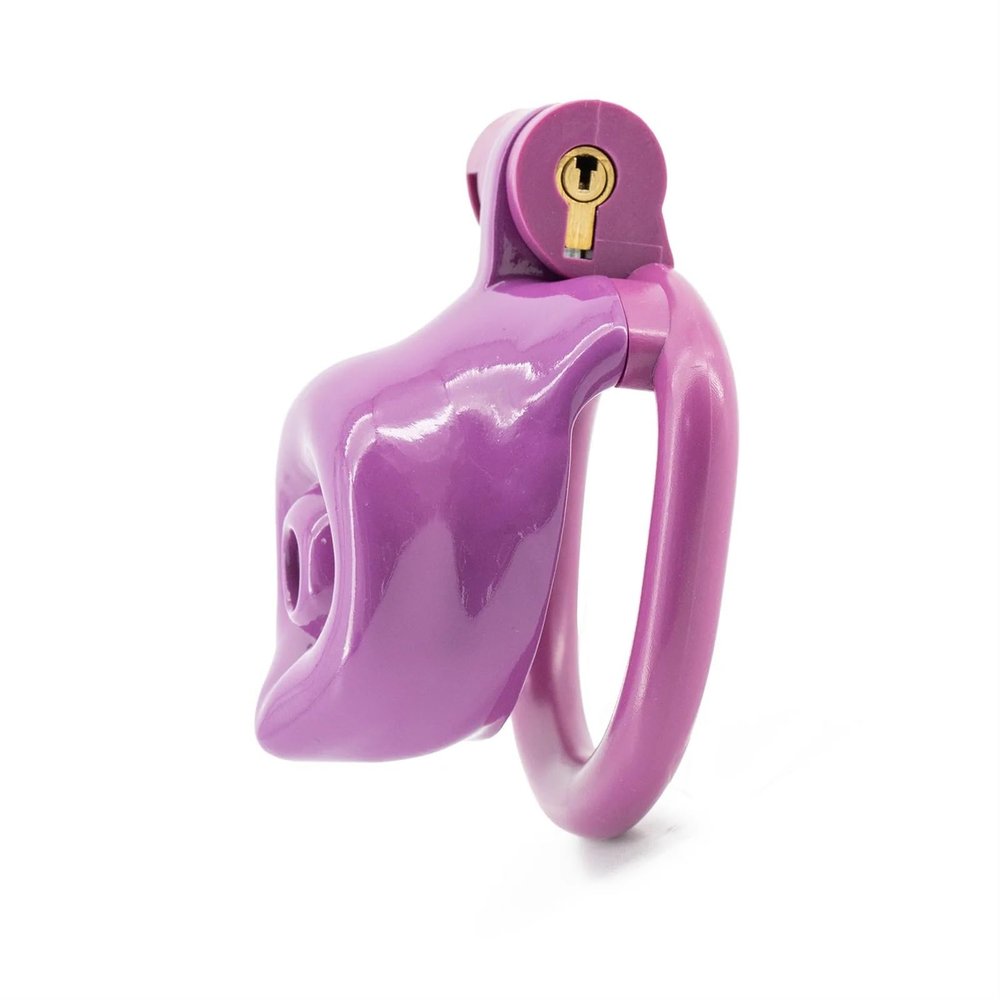 Dog Plastic Chastity Cage Device Male Cock Protector Slave Chastity Lock for Men(Zise-s)