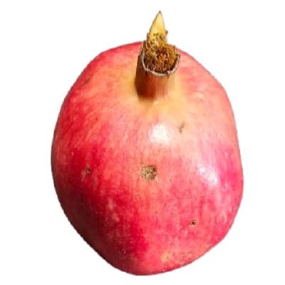 Fresh Pomegranate whole fruit by Oluzon, 12 count