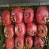 Fresh Pomegranate whole fruit by Oluzon, 12 count view 2