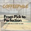Coffeephile - 1 Kg, Gym Time Java Decaf Ground Coffee - Made from Arabica Coffee Beans - Keeping Office Productivity High - Rich Flavoured Decaf Coffee 1Kg view 4