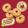 Jammie Dodgers Mini Multipack Raspberry Flavour, Christmas Snack Treat By Snackify | School Lunch box | Perfect Snack's for kids | Brithday gifts for kids 3-13 Years Boys & Girls ((20g x 48 bags)) view 3