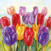 Ambiente 33cm 3-Ply Paper Napkins 20pcs - Colourful Tulips view 1