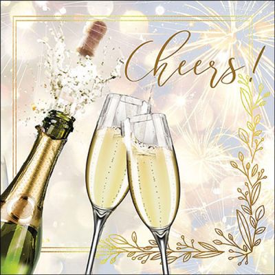 20 Napkins Birthday Cheers Celebrating Table Decoration Paper Napkins with Motif Also for Decoupage and Decoupage 33 x 33 cm