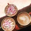 Whittard of Chelsea Premium Hot Chocolate Gift Set Pack of 6 view 4