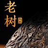 357g Daxueshan First Spring Big Tree tea - Ancient Tree Pu - erh Raw Tea - Original Flavor view 4