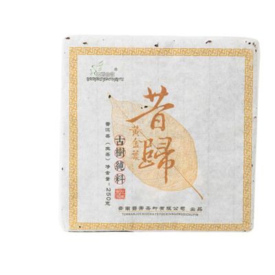 Yunnan Xigui Ancient Tree & Big Tree Pu - erh Raw Tea Brick (Golden Leaves) - 250g Choice of Quality
