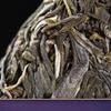 357g Premium Yiwu Guafengzhai Big Tree and Qiaomu Pu - erh Raw Tea Cake - Treasure of Chinese tea view 4