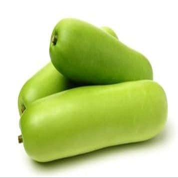 Bottle Gourd || Dudhi || 3 KG|| 14.99 || FPG4U (500 gram)