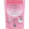 Sweet Revolution Organic Beetroot Latte with Ginger Barista Blend (2 x 500g) Catering Pack. Gluten Free, Dairy Free, Refined Sugar-Free view 2