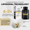 Goodvita Nicotinamide Riboside NR Supplement (4 in 1 Complex) 60 Caps, 2 Months Supply | UK Made | Boost NAD+ Anti-Aging | TMG Resveratrol Quercetin | Liposomal Highest Bioavailability view 4