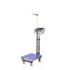 Medical Scale for Body Weight with Digital Display, Professional High Accuracy Medical Grade Floor Scale, Easy to Read LED, Portable Digital Doctor Medical Scale view 1