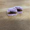 Assorted Macarons, Set of 6, Chocolate, Vanilla, Nuts, Berries, Champagne, Caramel Flavours view 2