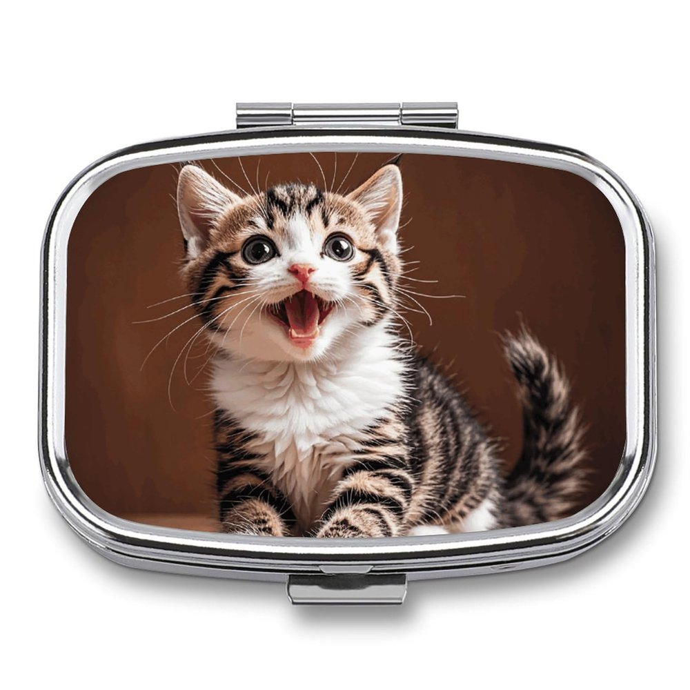 Pill Box with Mirror 2 Compartment Portable Cute Happy Kitten Pill Organizer for Pocket Or Purse Travel Medicine Pill Case Weekly Medicine Pill Container Holder for Daily Meds