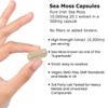 Sea Moss Capsules Extract High Strength 10000mg - Sea Moss Supplement 120 Capsules High Potency - UK Made - Vegan - No Filler Or Binders view 3