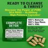 Sea Moss Capsules Extract High Strength 10000mg - Sea Moss Supplement 120 Capsules High Potency - UK Made - Vegan - No Filler Or Binders view 4