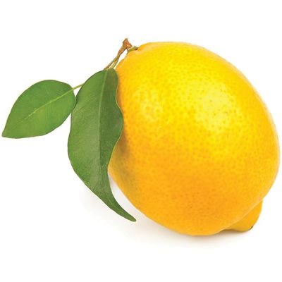 Fresh Yellow Lemon I Pack of 10