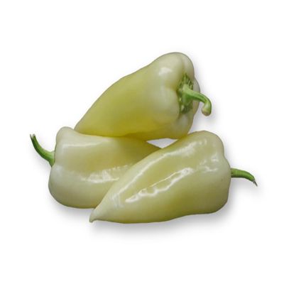 Fresh White Pointed Peppers I Pack of 3
