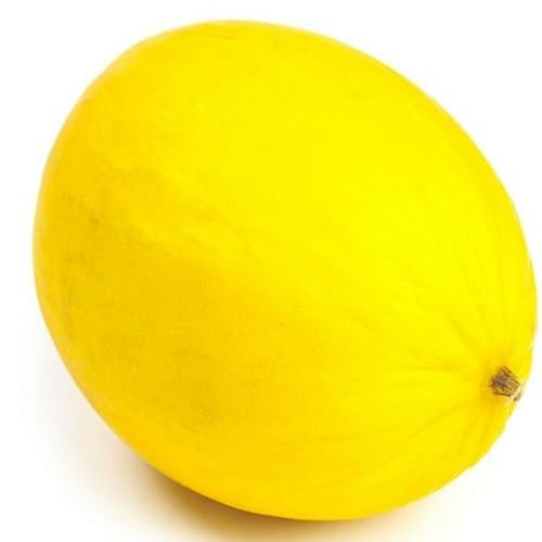 Fresh Honeydew Melon I A Refreshing Taste of Summer I Pack of 3