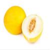 Fresh Honeydew Melon I A Refreshing Taste of Summer I Pack of 3 view 3