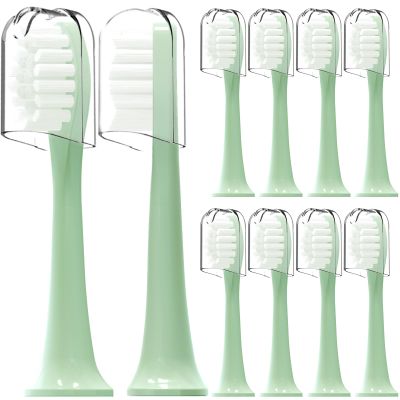 10 Pack Compatible with Suri Electric Toothbrush Replacement Brush Heads,for Suri Sonic Electric Toothbrush,with Dust Cover (Winter Fern, Medium)