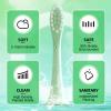 10 Pack Compatible with Suri Electric Toothbrush Replacement Brush Heads,for Suri Sonic Electric Toothbrush,with Dust Cover (Winter Fern, Medium) view 4