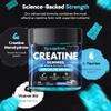 Supplmnt. Creatine Gummies 5000mg Lab-Tested 120ct Max Strength Muscle Growth/Recovery Supplements for Men & Women Creatine Monohydrate Plus B12 and L-Taurine Chewable Gummies, Blueberry Flavour view 3