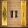Videsh YOG Yantra in Pure Copper Activated & Energized (6 X 6 Inch) view 4