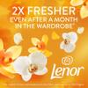 Lenor Laundry Perfume Scent Booster 495g, Gold Orchid, Non-Stop Freshness Up to 12 Weeks in Storage, Granules view 4