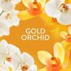 Lenor Laundry Perfume Scent Booster, 6 packs x155 g, Gold Orchid, Non-stop Freshness Up To 12 Weeks In Storage view 3