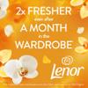 Lenor Laundry Perfume Scent Booster, 6 packs x155 g, Gold Orchid, Non-stop Freshness Up To 12 Weeks In Storage view 4