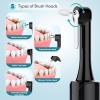 CrazyNov - ADJUSTABLE CLEANING MODES: This polisher offers 4 cleaning modes: soft, normal, medium and strong.You can choose the right cleaning speed for your gums and protect your gums view 3