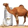 Natural Whole Camel Milk, Rich in Essential Nutrients, 235ml Pack of 4 view 2