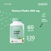Osavi Chanca Piedra 500 mg 60 Vegan Capsules | Traditional Herb for Kidney & Gallbladder Health | Supports Detoxification & Urinary Function | Clean Label | VeganFriendly view 4